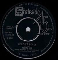 HEATHER HONEY / MONEY IS MY PAY