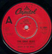 PINE GROVE BLUES / TEXAS ME AND YOU - PROMO