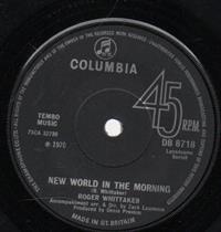 NEW WORLD IN THE MORNING / THE BOOK