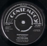 BUMPSUMBOODY / MR TAMBOURINE MAN