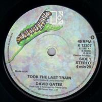 TOOK THE LAST TRAIN / ANN