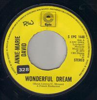 WONDERFUL DREAM / TU TE RECONNAITRAS