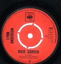 ROSE GARDEN / NOTHING BETWEEN US