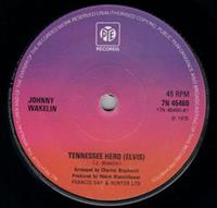 TENNESSEE HERO (ELVIS) / SAY HELLO TO MR BLUES