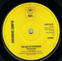 THE LIGHT OF EXPERIENCE / BRUIL OLTENESC