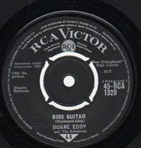 BOSS GUITAR / THE DESERT RAT