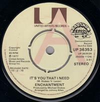 IT'S YOU THAT I NEED / SUNNY SHINE FEELING - PROMO