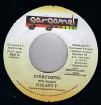 EVERYTHING / VERSION