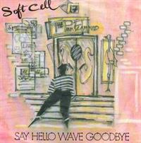 SAY HELLO WAVE GOODBYE / INSTRUMENTAL