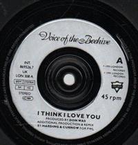 I THINK I LOVE YOU / SOMETHING ABOUT GOD