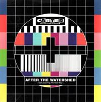 AFTER THE WATERSHED / 90S REVIVAL/A NATION OF SHOPLIFTERS