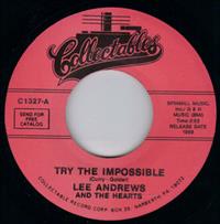 TRY THE IMPOSSIBLE / NOBODYS HOME