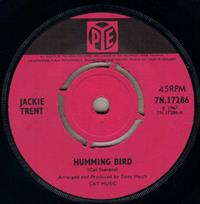 HUMMING BIRD / I'LL BE WITH YOU (CAT STEVENS)