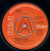 DOO WOP BAND / IT NEVER RAINS ON A PRIVATE EYE - PROMO