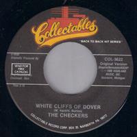 WHITE CLIFFS OF DOVER / DONT STOP DAN