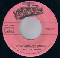 IF I COULD MAKE YOU MINE / DON'T GO