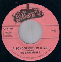 A SCHOOL GIRL IN LOVE / YOU'RE MY LOVER