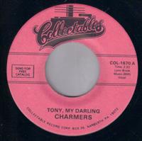 TONY MY DARLING / IN THE RAIN