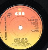 CAN'T LET GO / LOVE MUSIC