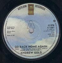 GO BACK HOME AGAIN / PASSING THING