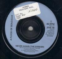 NEVER AGAIN ( THE DANCER) / LIVING IN HEAVEN