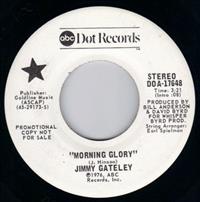 MORNING GLORY - PROMO PRESSING