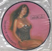 DREAMS OF IMMIGRANTS / THE MIRRORS EYES - PICTURE DISC