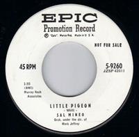 LITTLE PIGEON / CUTTIN' IN - PROMO PRESSING