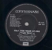 FOOL FOR YOUR LOVING (single version) / slow poke music