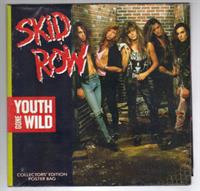 YOUTH GONE WILD / SWEET LITTLE SISTER - poster sleeve