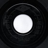 LIGHT MY FIRE original 7" mix / cappella remix