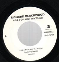 1.2.3.4 Get With The Wicked (Radio Edit) / 1.2.3.4 Get With The Wicked (Teebone Remix)