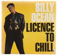 LICENCE TO CHILL / PLEASURE