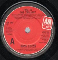 FIRE IN THE TWILIGHT / THE REGGAE