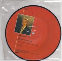 WARNING SIGN / VERSION - picture disc