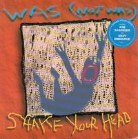 SHAKE YOUR HEAD / I BLEW UP THE UNITED STATES