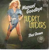 MANUEL GOODBYE / SHOT DOWN