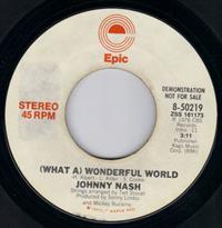 (WHAT A ) WONDERFUL WORLD / PROMO PRESSING