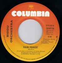 RAIN FOREST / HOT-ICE