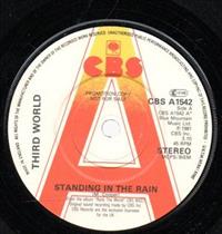 STANDING IN THE RAIN / DUBB MUSIC - PROMO PRESSING