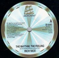 THE RHYTHM THE FEELING / INSTRUMENTAL