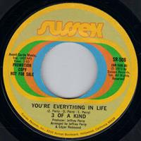 YOU'RE EVERYTHING IN LIFE - PROMO PRESSING