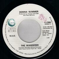 THE WANDERER / STOP ME